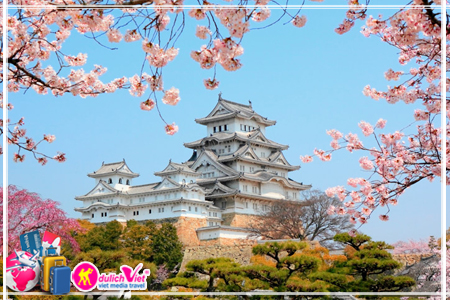 Du Lịch Free and Easy Nhật Bản trải nghiệm cùng Tokyo 2025